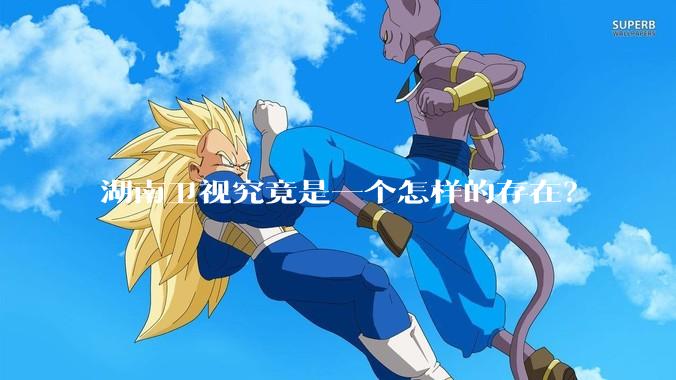 湖南卫视究竟是一个怎样的存在？