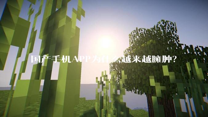 国产手机APP为什么越来越臃肿？