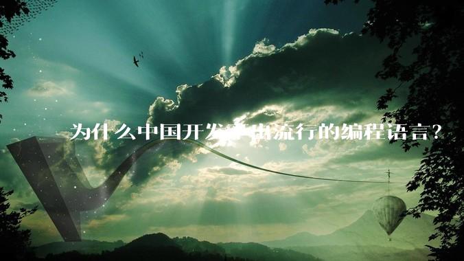 为什么中国开发不出流行的编程语言？
