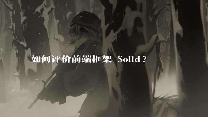 如何评价前端框架 Solid?