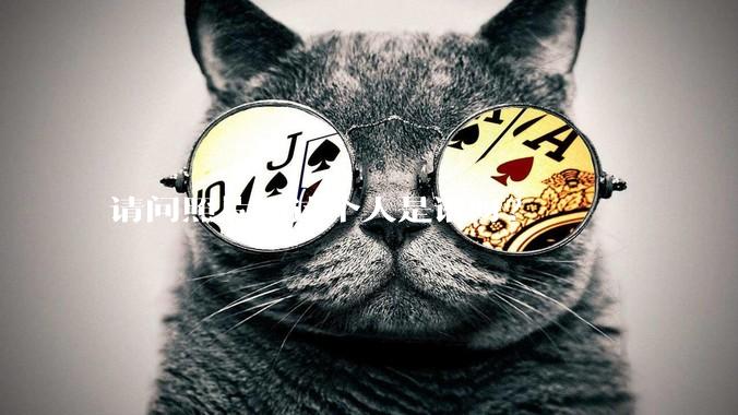 请问照片里这个人是谁呀？