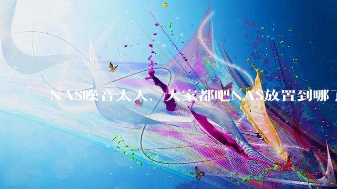 NAS噪音太大，大家都吧NAS放置到哪了？