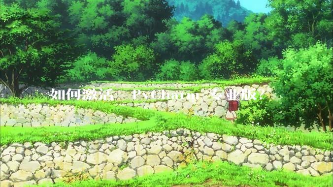 如何激活  PyCharm 专业版？