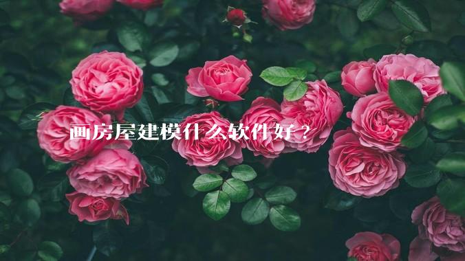画房屋建模什么软件好?