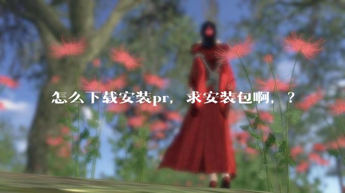 怎么下载安装pr，求安装包啊，？