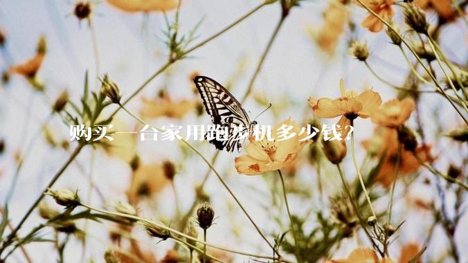 购买一台家用跑步机多少钱？