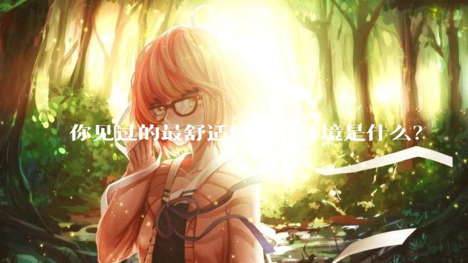 你见过的最舒适的办公环境是什么？