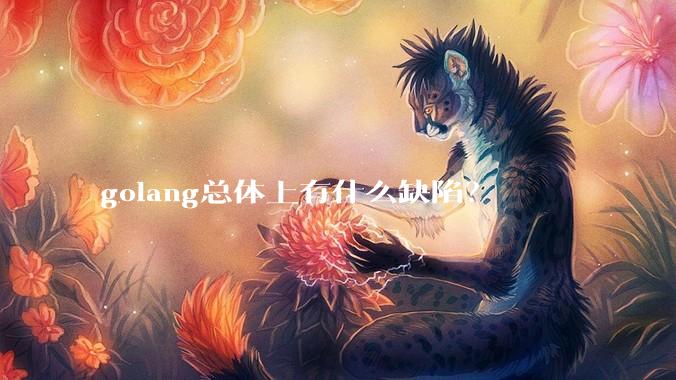 golang总体上有什么缺陷？