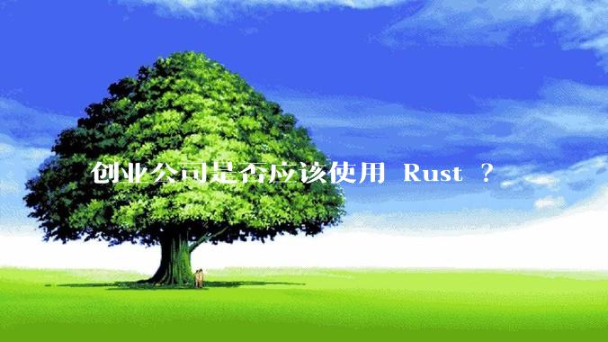 创业公司是否应该使用 Rust ？