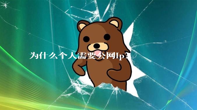 为什么个人需要公网ip？