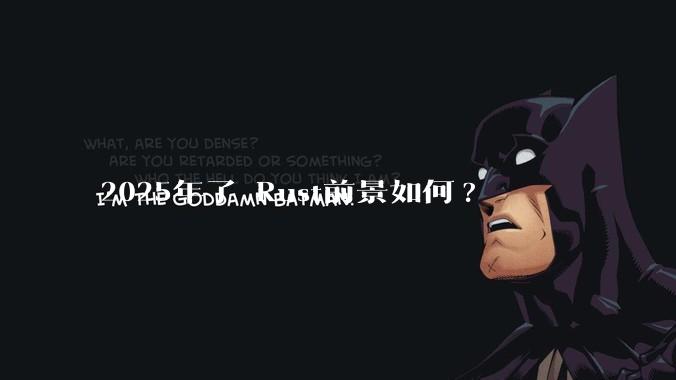 2025年了 Rust前景如何?