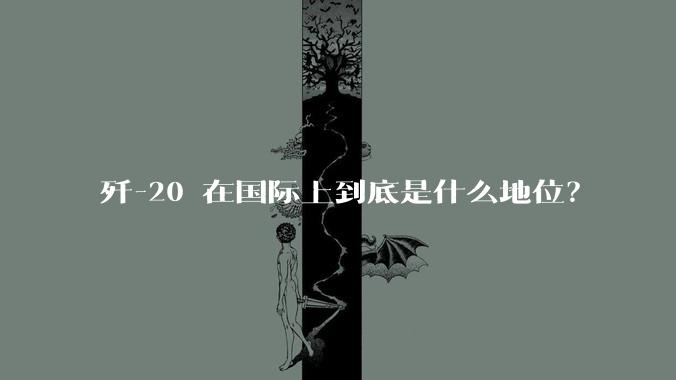 歼-20 在国际上到底是什么地位？