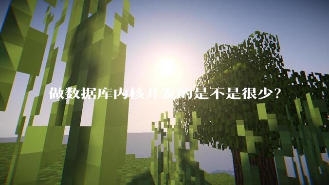 做数据库内核开发的是不是很少？